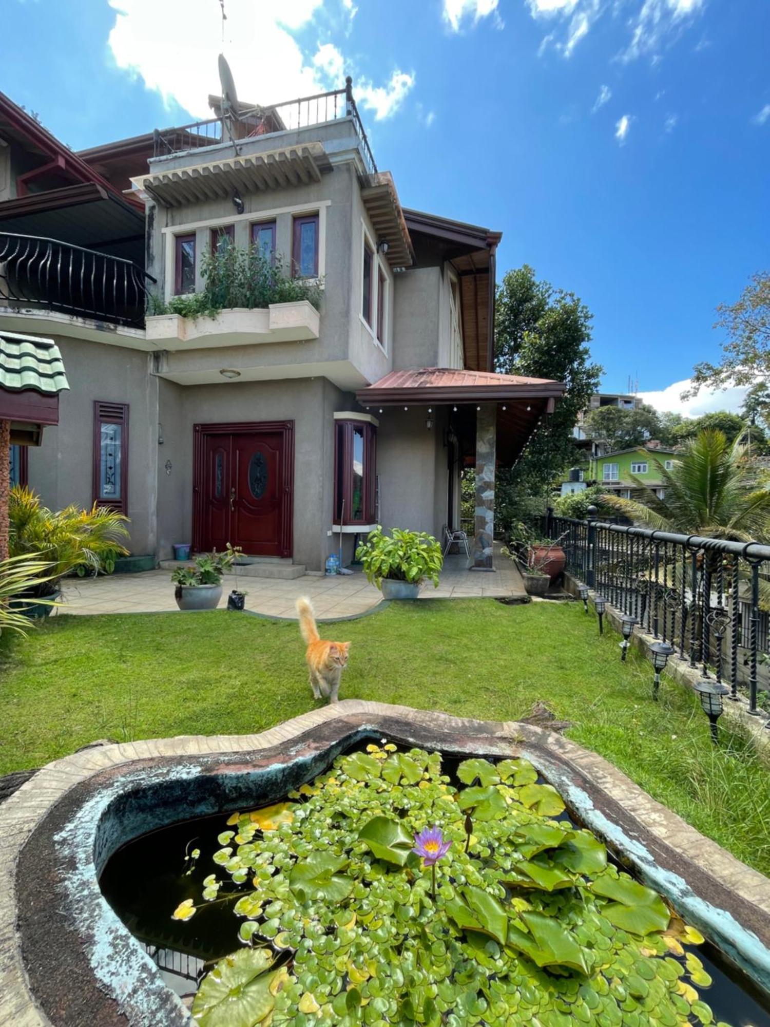 中国蒲公英民宿dandelion Guest House Villa With Mount View Kandy Buitenkant foto