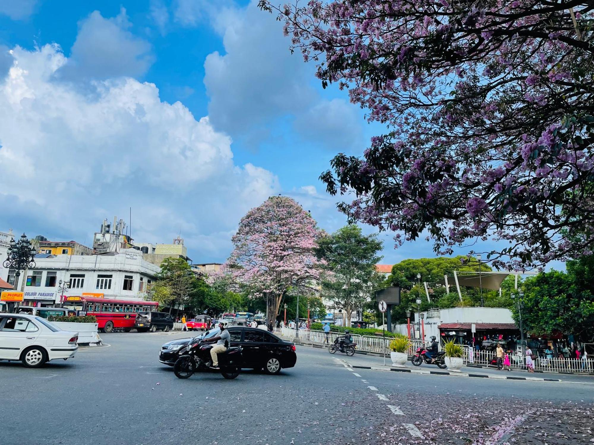 中国蒲公英民宿dandelion Guest House Villa With Mount View Kandy Buitenkant foto