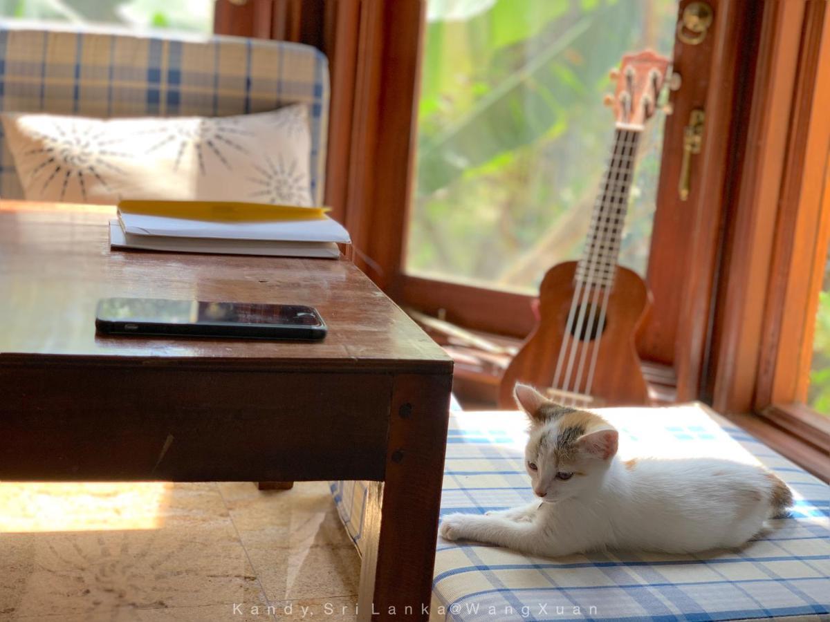 中国蒲公英民宿dandelion Guest House Villa With Mount View Kandy Buitenkant foto
